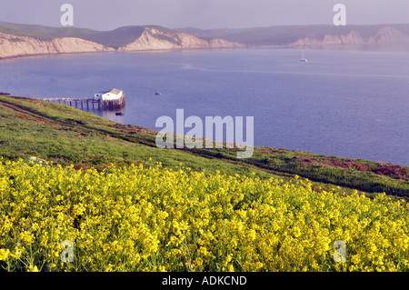 Ruhiges Wasser und Wildblumen von Drakes Bay Point Reyes National Seashore Kalifornien Stockfoto