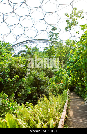 In den feuchten Tropen Biom im Eden Project, Cornwall, UK Stockfoto