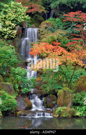 Herbstfarben mit Wasserfall in japanischen Gärten Portland, Oregon Stockfoto