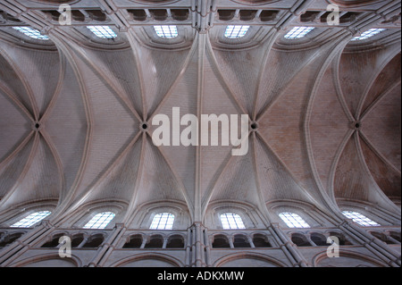 Hauptschiff der Kathedrale Notre-Dame (Laon-Picardie-Frankreich) Stockfoto