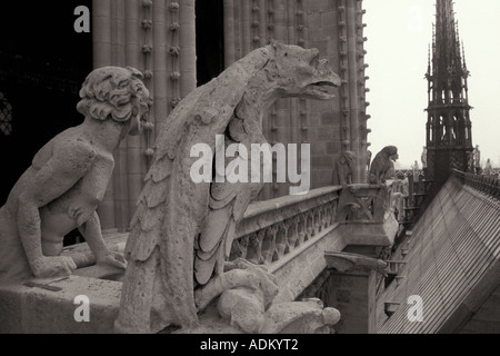 Wasserspeier auf Notre Dame Kathedrale Paris Frankreich Europa Stockfoto