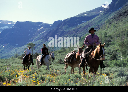 Cowboys reiten in den Bergen Stockfoto