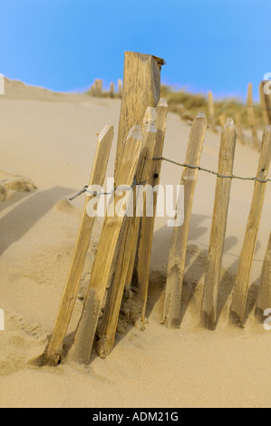 Erasion Schutz Zäune in den Dünen am Camber Sands Roggen East Sussex England Stockfoto