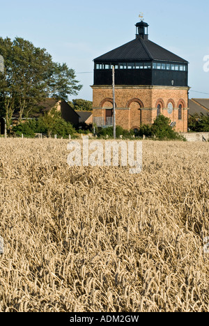 HISTORISCHE GEBÄUDE FOREDOWN TURM PORTSLADE EAST SUSSEX Stockfoto