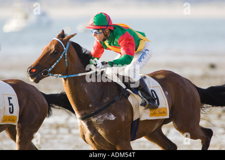 Pferderennen am Strand, Sanlucar de Barrameda, Spanien Stockfoto