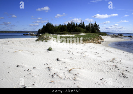 schöne sandige Carter Strand, Nova Scotia, Kanada, Nordamerika. Foto: Willy Matheisl Stockfoto