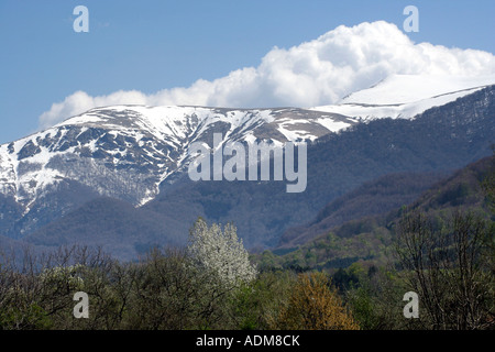 Zentralen Balkan Nationalpark, Bulgarien, Europa Stockfoto