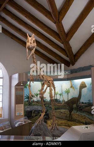 Museum of Northern Arizona Flagstaff Arizona USA Stockfoto