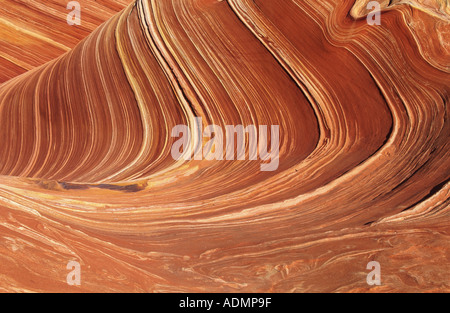 Nördlichen Coyote Buttes, The Wave, versteinerte Sanddüne, braunen Sandstein gebildet durch Wasser und Wind, Erosion, USA, Arizona Stockfoto