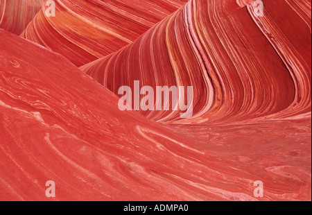 Nördlichen Coyote Buttes, The Wave, versteinerte Sanddüne, roter Sandstein, gebildet durch Wasser und Wind-Erosion, USA, Arizona Stockfoto