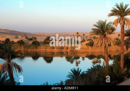 Dattelpalme (Phoenix Dactylifera), Mandara See Umm El Ma (Mutter des Wassers), den Dünen kommen bis zu den Ufern, Libyen, Erg Ubari, Stockfoto