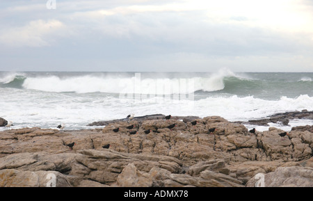 Scarborough Beach in der Nähe von Cape Town, South Africa Stockfoto