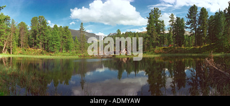 Karakol-See. Sibirische Kiefernwald (Pinus Sibirica, Tannenbäumen). Die Iolgo reichen. Altai. Sibirien. Russland Stockfoto