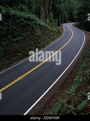 Highway 199 geschwungene durch Jedediah Smith Redwoods Redwoods National Park Nord Kalifornien USA Stockfoto