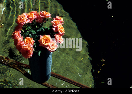 La Tour Sur Tinée Vallée De La Tinée Alpes-Maritimes 06 Paca Frankreich Stockfoto