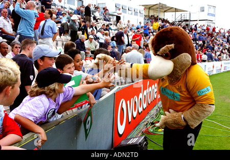 Das Hampshire Cricket Team Maskottchen Interaktion mit jungen Fans bei einem Cricket-Match mit Hampshire bei Southampton s Rose Bowl Stockfoto