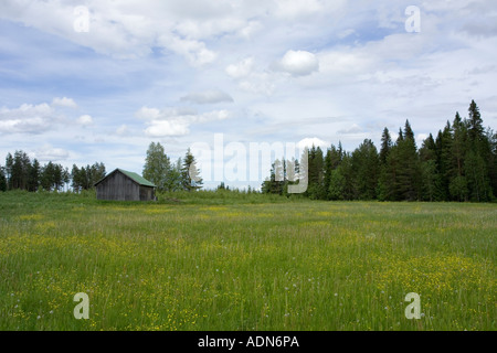 Sommer-Felder, Finnland Stockfoto