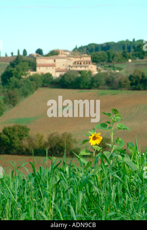 Historischen Pieve a Castello-Toskana-Italien Stockfoto