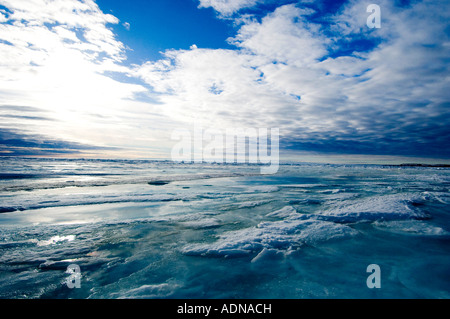 Schmelzen Sie Wasser liegt auf der Oberfläche des Meereises, die von der Sonne erwärmt.  Marine Board wird bald eisfrei sein. Stockfoto