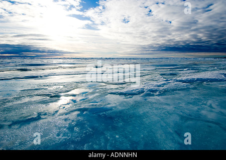 Schmelzen Sie Wasser liegt auf der Oberfläche des Meereises, die von der Sonne erwärmt.  Marine Board wird bald eisfrei sein. Stockfoto