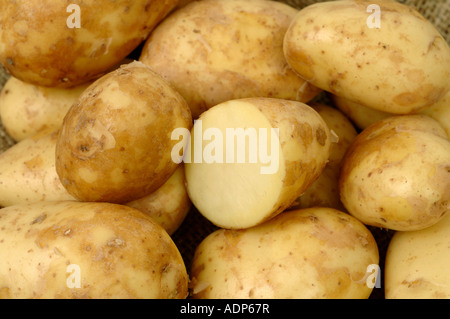 Jersey Royal Kartoffeln ex-Supermarkt Shop gekauft Knollen Stockfoto