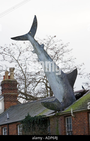 Ungewöhnliche seltsame Great White Shark Abbildung whacky Kunst gestürzt durch Dach des Hauses in einem Vorort Straße Oxfordshire UK Stockfoto