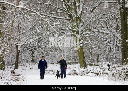 Paar zu Fuß den Hund über Schnee bedeckt Hampstead Heath North London Vereinigtes Königreich Stockfoto