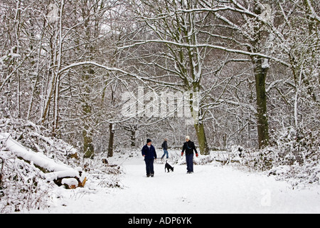 Paar zu Fuß den Hund über Schnee bedeckt Hampstead Heath North London Vereinigtes Königreich Stockfoto