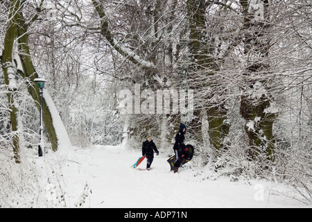 Jungen tragen Schlitten über Schnee bedeckt Hampstead Heath North London Vereinigtes Königreich Stockfoto