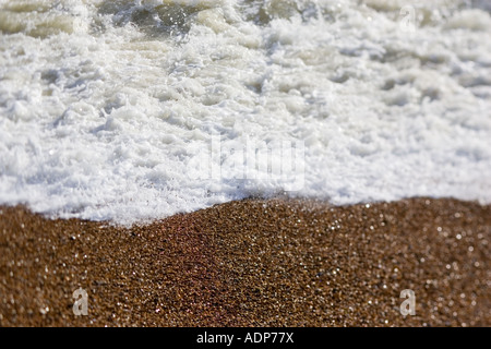 Kiesstrand Brighton England Vereinigtes Königreich Stockfoto