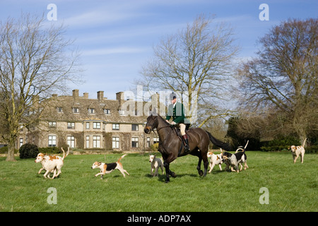 Mitglied des Heythrop Hunt fährt mit Hunden am traditionellen Jagd treffen auf Swinbrook Anwesen in Oxfordshire, Vereinigtes Königreich Stockfoto