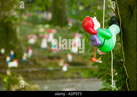 ein Abseilen Gnome im Westen Putnam Gnome zu reservieren, Devon, UK Stockfoto