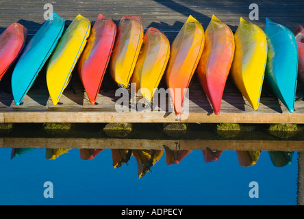 Bunte Seekajaks aufgereiht auf einem dock Stockfoto