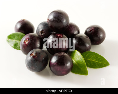 Acai Beeren - Wunder-Frucht aus dem Amazonas in Brasilien Stockfoto