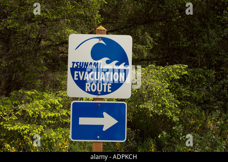 Schild mit den Fluchtweg zu im Falle einer Tsunami-Alarm Stockfoto