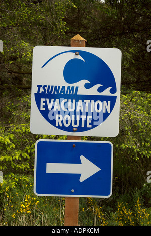 Schild mit den Fluchtweg zu im Falle einer Tsunami-Alarm Stockfoto