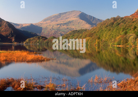 MOEL Hebog und Llyn Dinas Beddgelert Snowdonia Gwynedd North West Wales UK Stockfoto