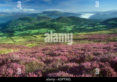 Landschaft vom Cadair Idris Snowdonia Gwynedd North West Wales UK Stockfoto