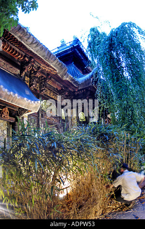 Japanischer Garten, PARIS Frankreich, Kino „La Pagode“ in traditioneller japanischer Architektur im Freien, Vintage-Kinos Stockfoto