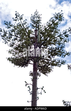 "Handy-Mast" "Handy-Baum" "Gefahr für die Umwelt" Handy "Telefon Mobilfunkantennen" Hidden in Fake Baum Stockfoto
