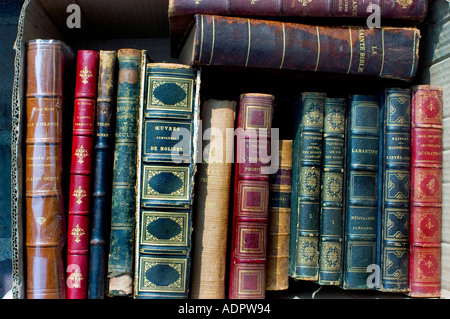 Paris Frankreich, Nahaufnahme, Einkaufen alter klassischer französischer Bücher, zum Verkauf „Flohmarkt“ Kollektion Ledergebundener Buchhändler „gestapelt“ Stockfoto