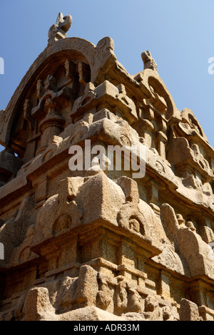 Detail der geschnitzten Stein, Mahabalipuram UNESCO World Heritage Site in der Nähe von Chennai Tamil Nadu Staat Indien Asien Stockfoto