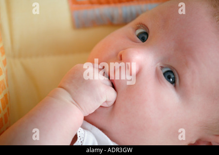 Modell freigegeben zehn Wochen alten Babymädchen Stockfoto