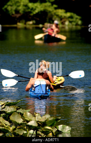 Florida Kajak Kanu zwei blaue Kajaks vier Leute weiß Paddles Stockfoto