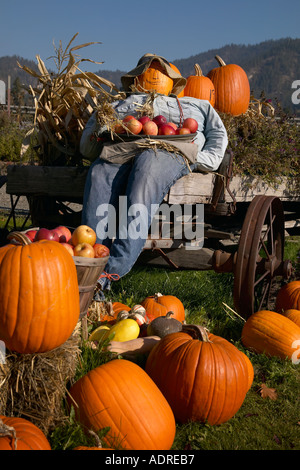 Strohmann mit Kürbiskopf und Strohhut Holding Tablett mit roten Äpfeln sitzt in einem antiken Bauernhof Wagen mit Metallräder wolkenlosem Stockfoto