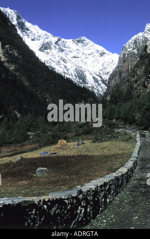 Landschaftlich reizvolle Tal in Dharapani Umgebung in Nepal Annapurna Conservation Area Stockfoto