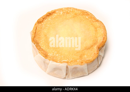 Epoisses de Bourgogne, Normandie Käse, die seine Rinde mit Brandy (Marc de Bourgogne) isoliert auf einem weißen Studio-Hintergrund gewaschen wird. Stockfoto