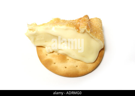 Epoisses de Bourgogne, Normandie Käse, die seine Rinde mit Brandy (Marc de Bourgogne) isoliert auf einem weißen Studio-Hintergrund gewaschen wird. Stockfoto