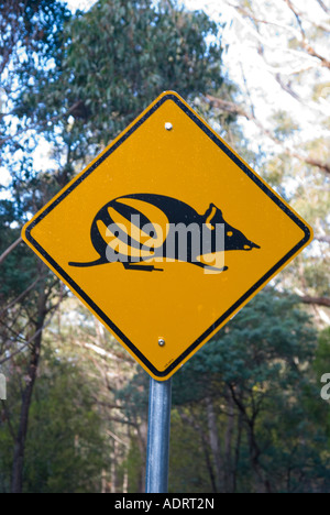 Bandicoot Kreuzung Straßenschild in Tasmanien Stockfoto