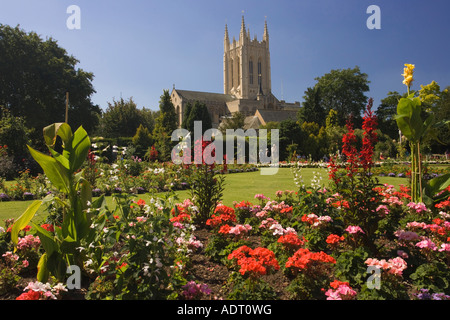 St James Kathedrale in Bury St Edmunds in Suffolk, Großbritannien von den Klostergarten aus gesehen Stockfoto